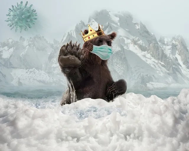 Cave for Bears