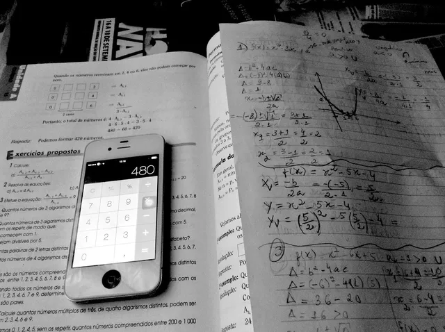 Zoo and Inside Zoo Math Mat